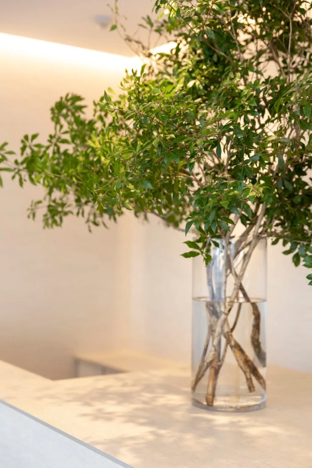 Karada Care Clinic